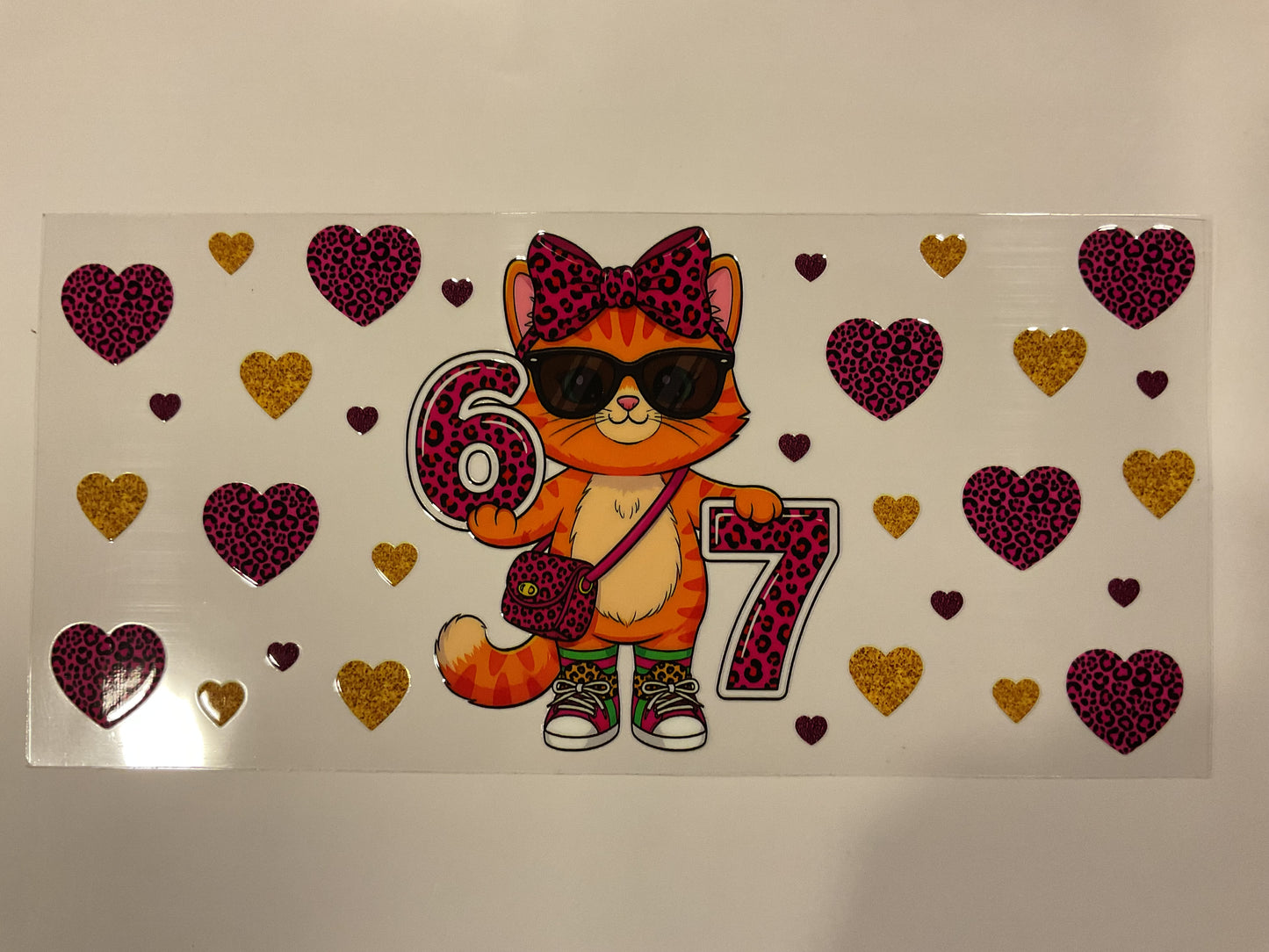 6-7 Cat