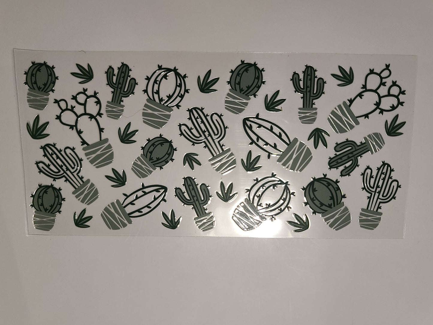 Cactuses