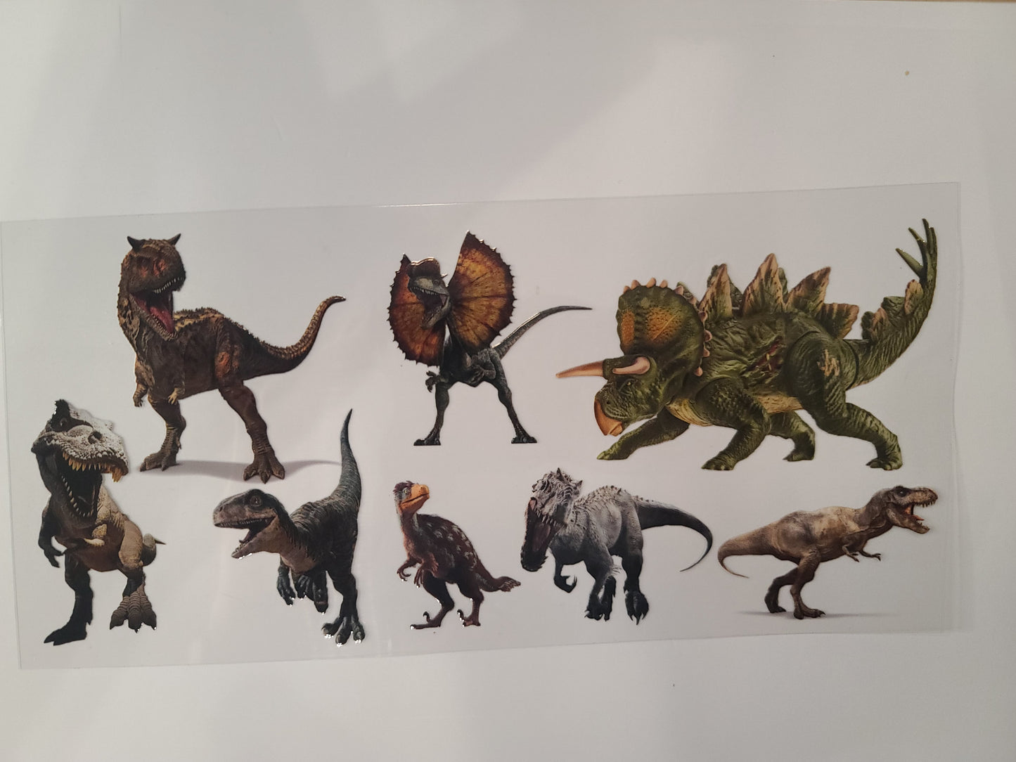 Dinosaur