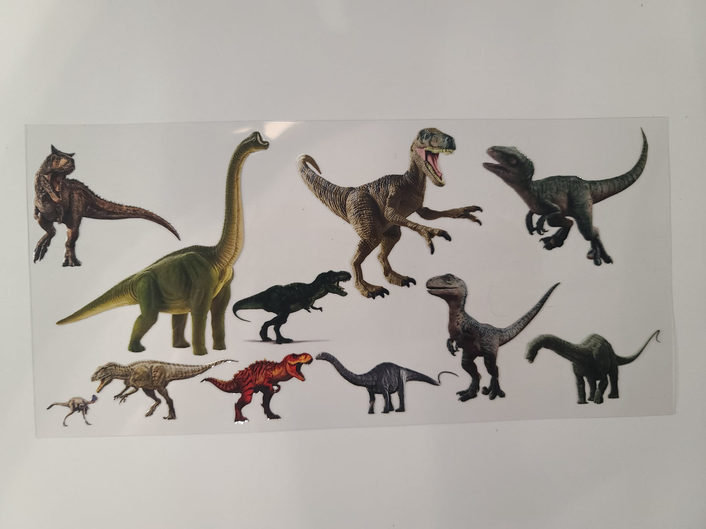 Dinosaur