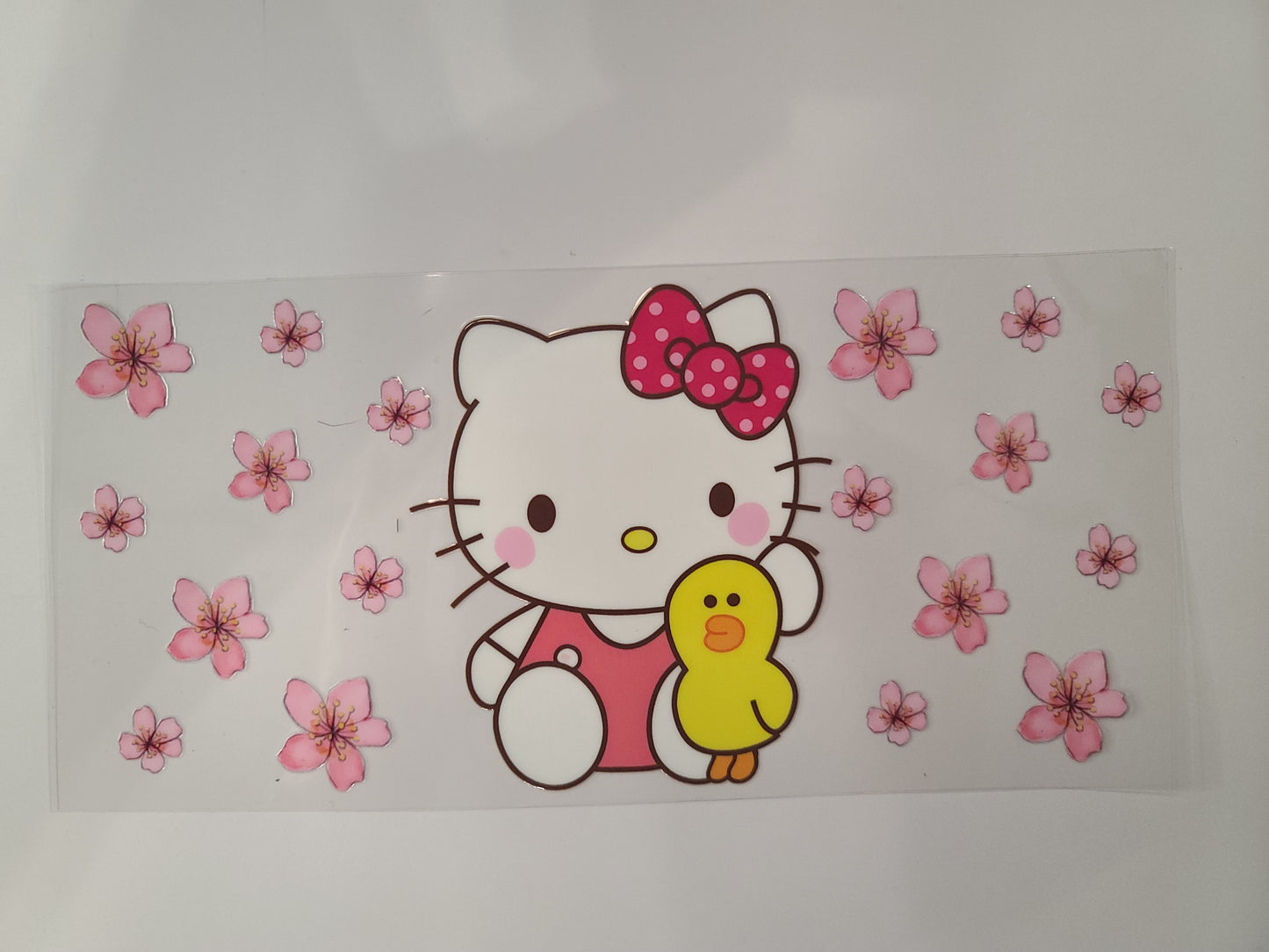 Hello Kitty and Duck