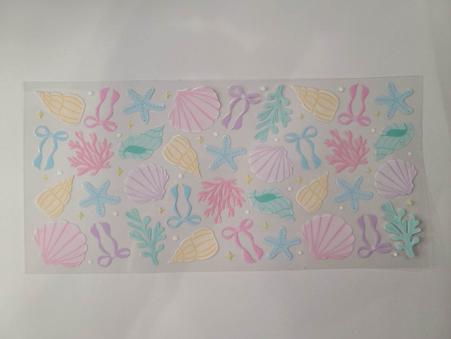 Seashells Coral Ocean