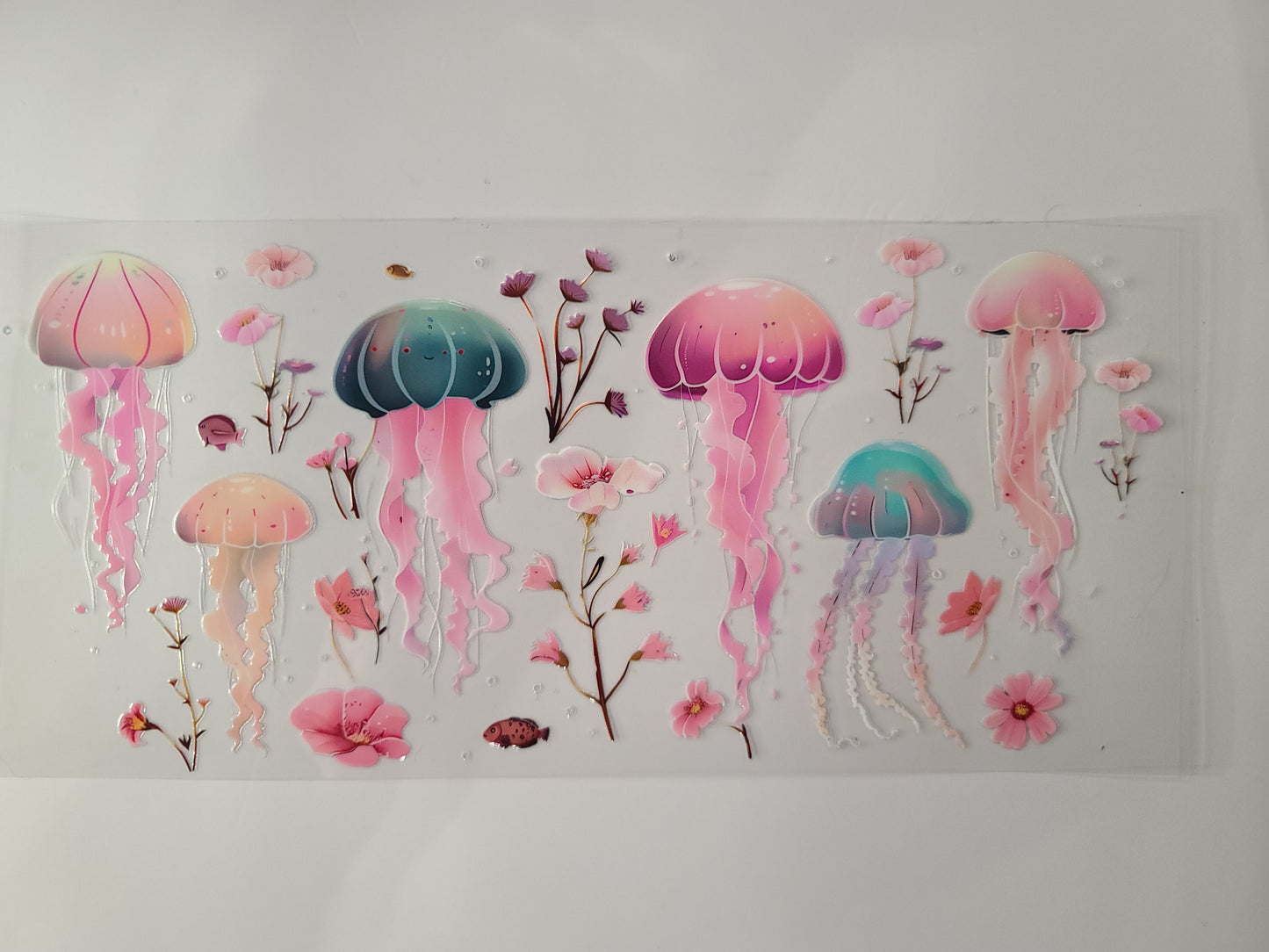 Jellyfish