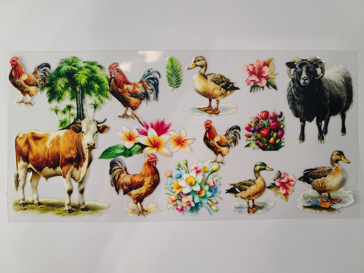 Farm Animals