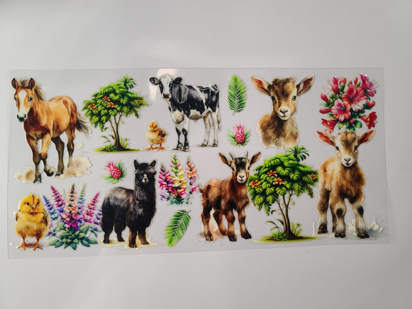 Farm Animals