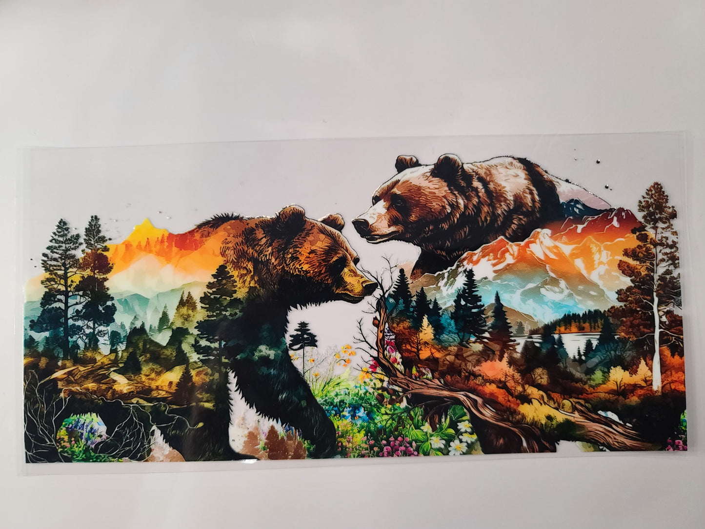 Grizzley Bear