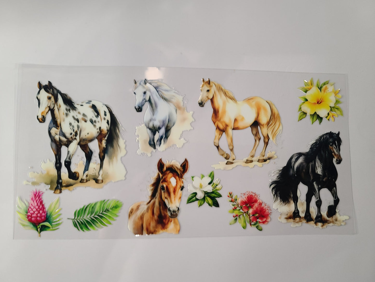 Horses