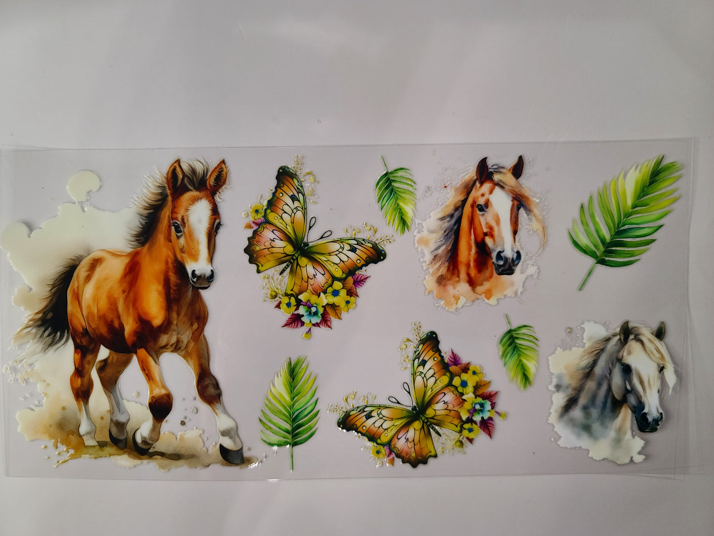 Horse Palm Leaf Butterfly