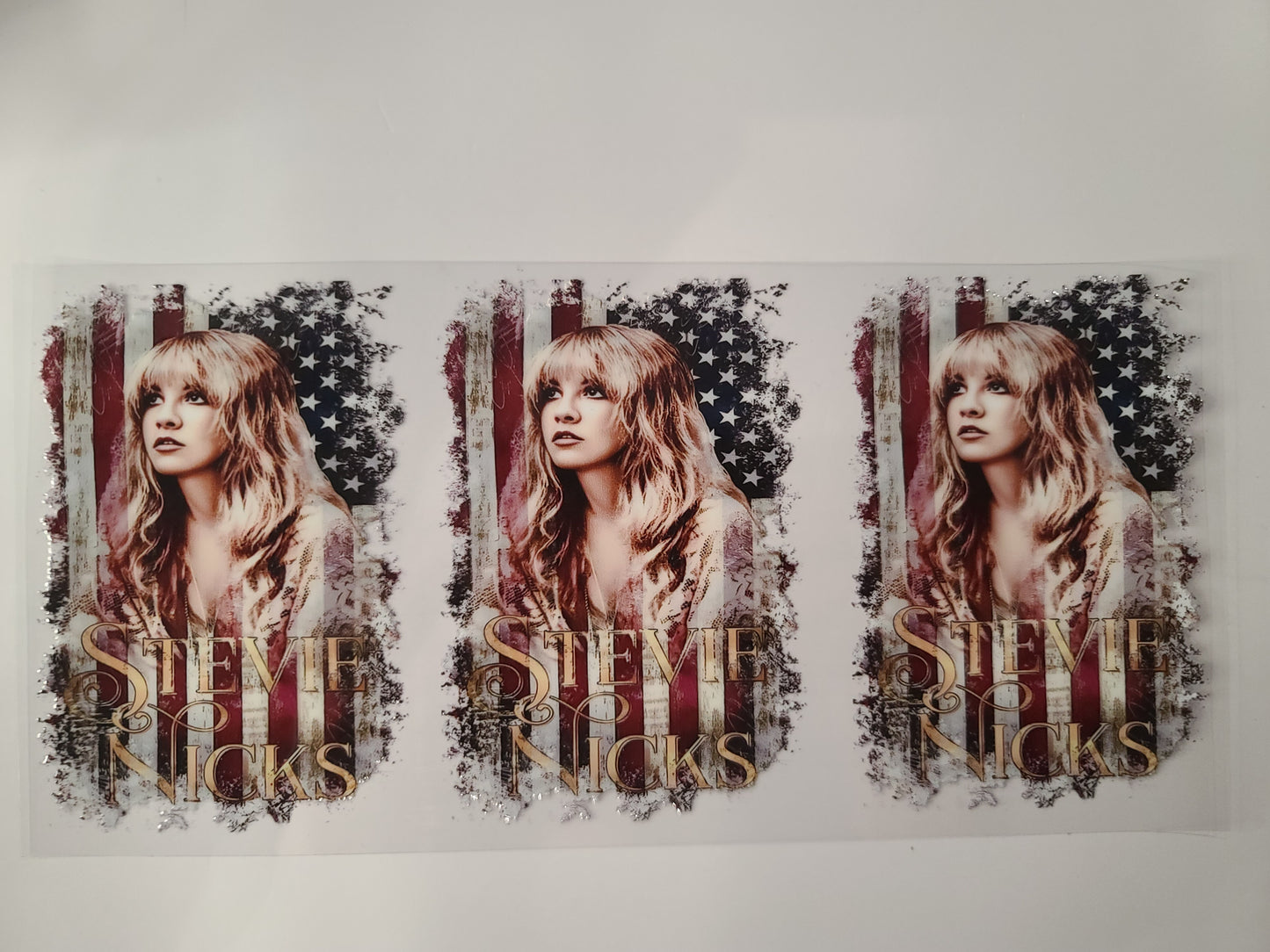 Stevie Nicks American Flag