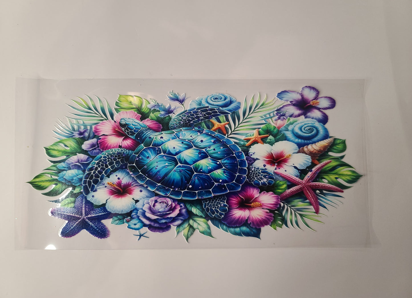 Turtle Starfish Flowers Seashells