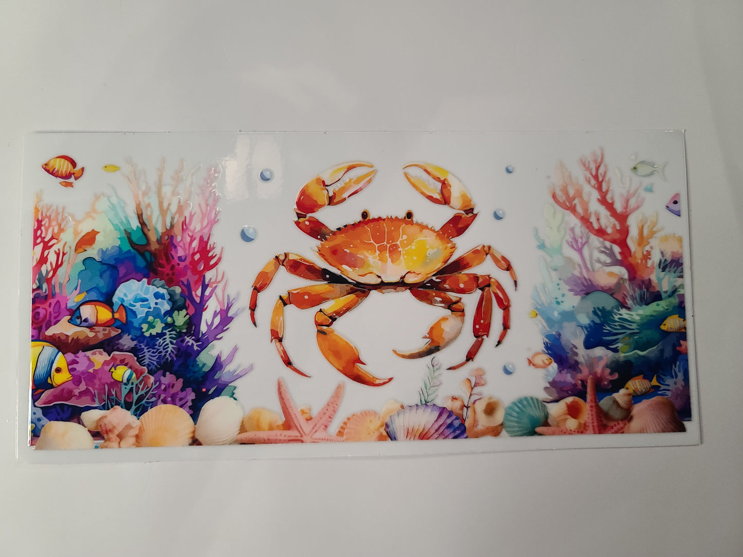 Crab Fish Coral Seashell