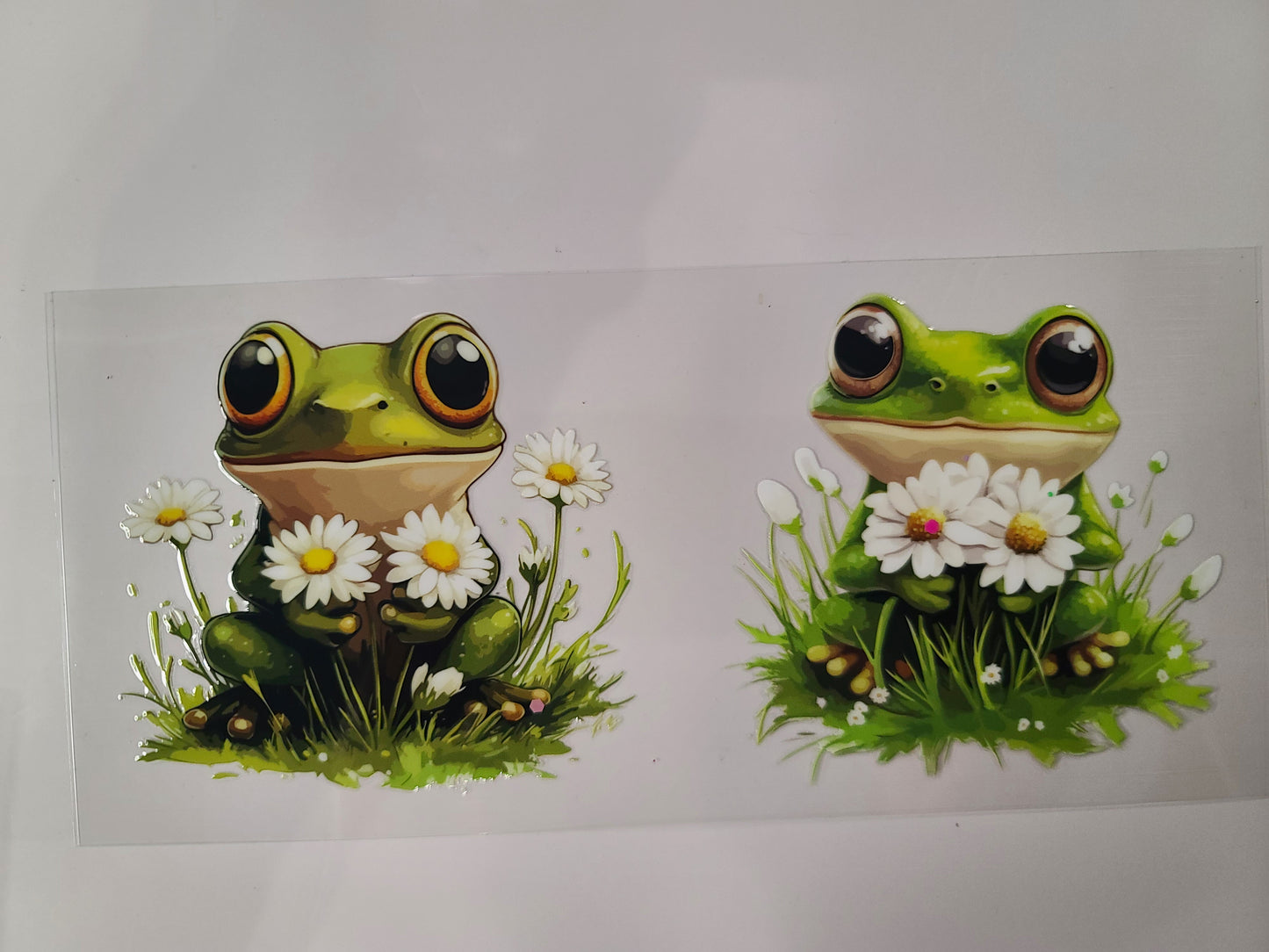 Frog Daisies