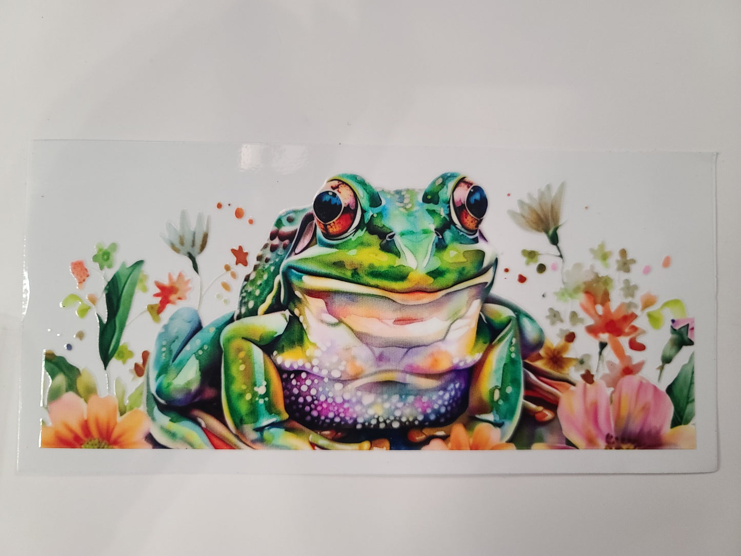 Frog Colorful Flowers