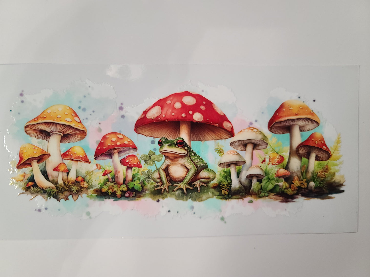 Frog Mushrooms