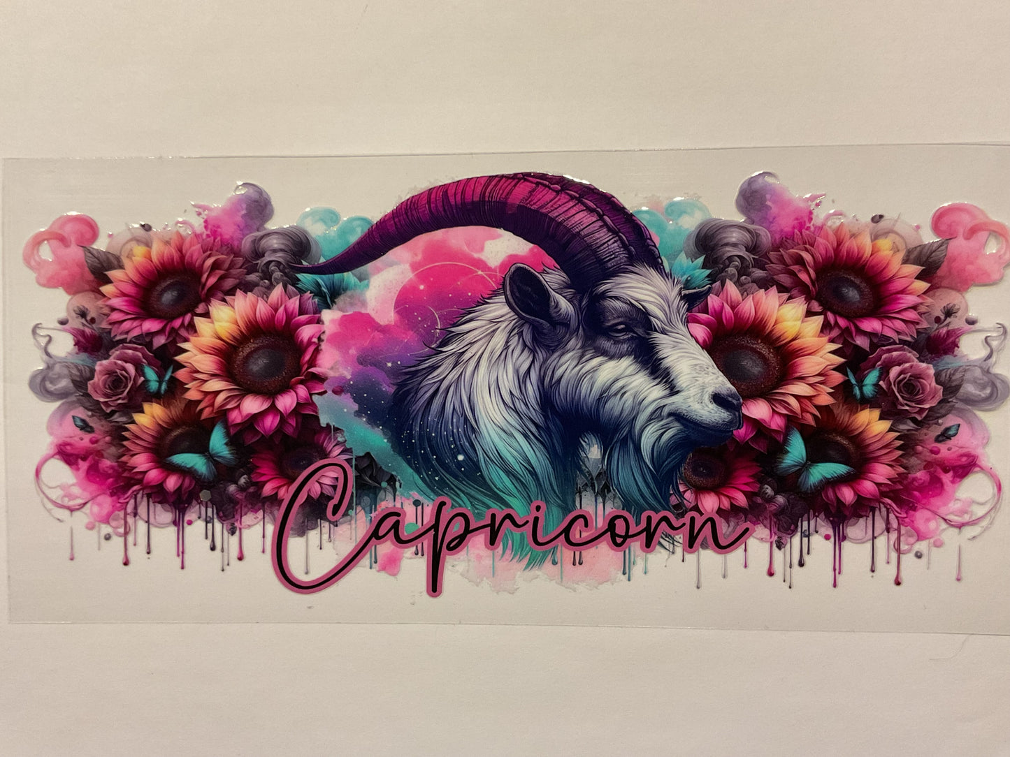 Capricorn Zodiac