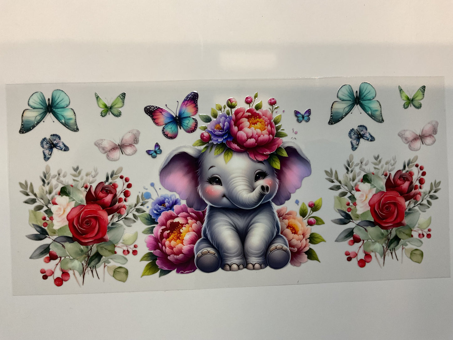 Baby Elephant