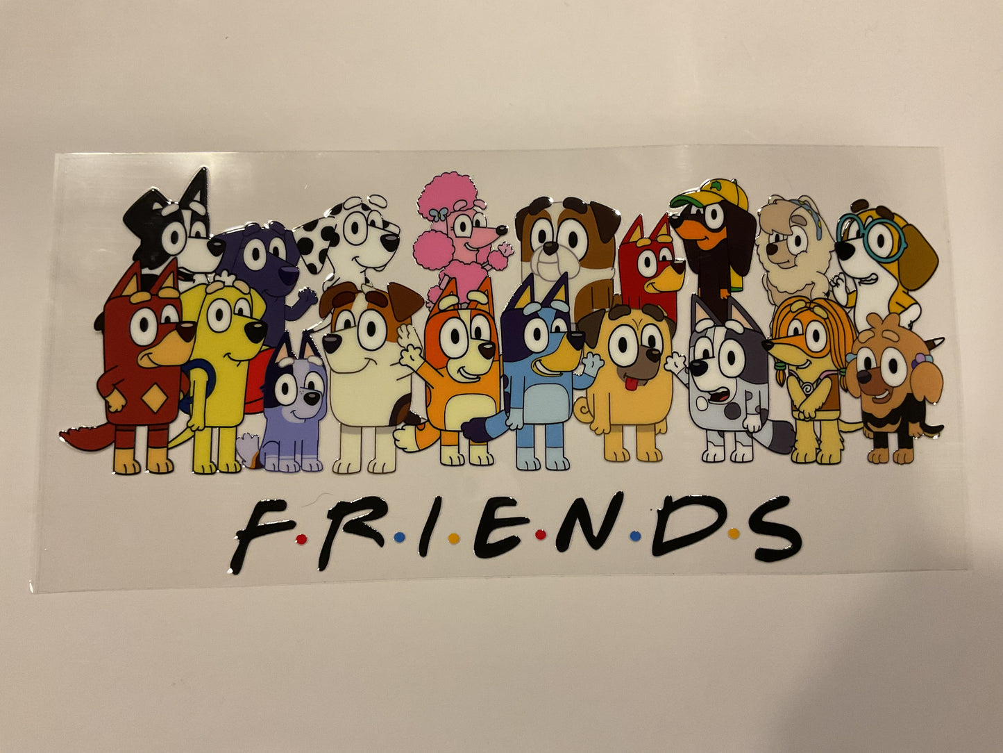 Disney Bluey ‘Friends’
