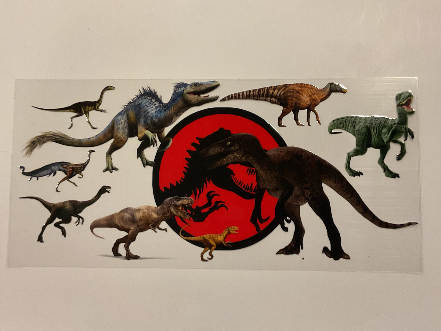 Dinosaurs Boy