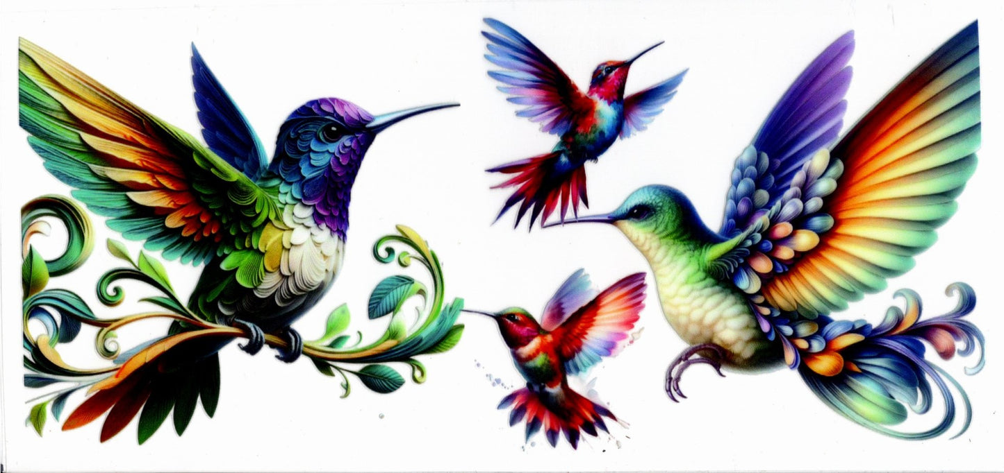 Colorful Hummingbird