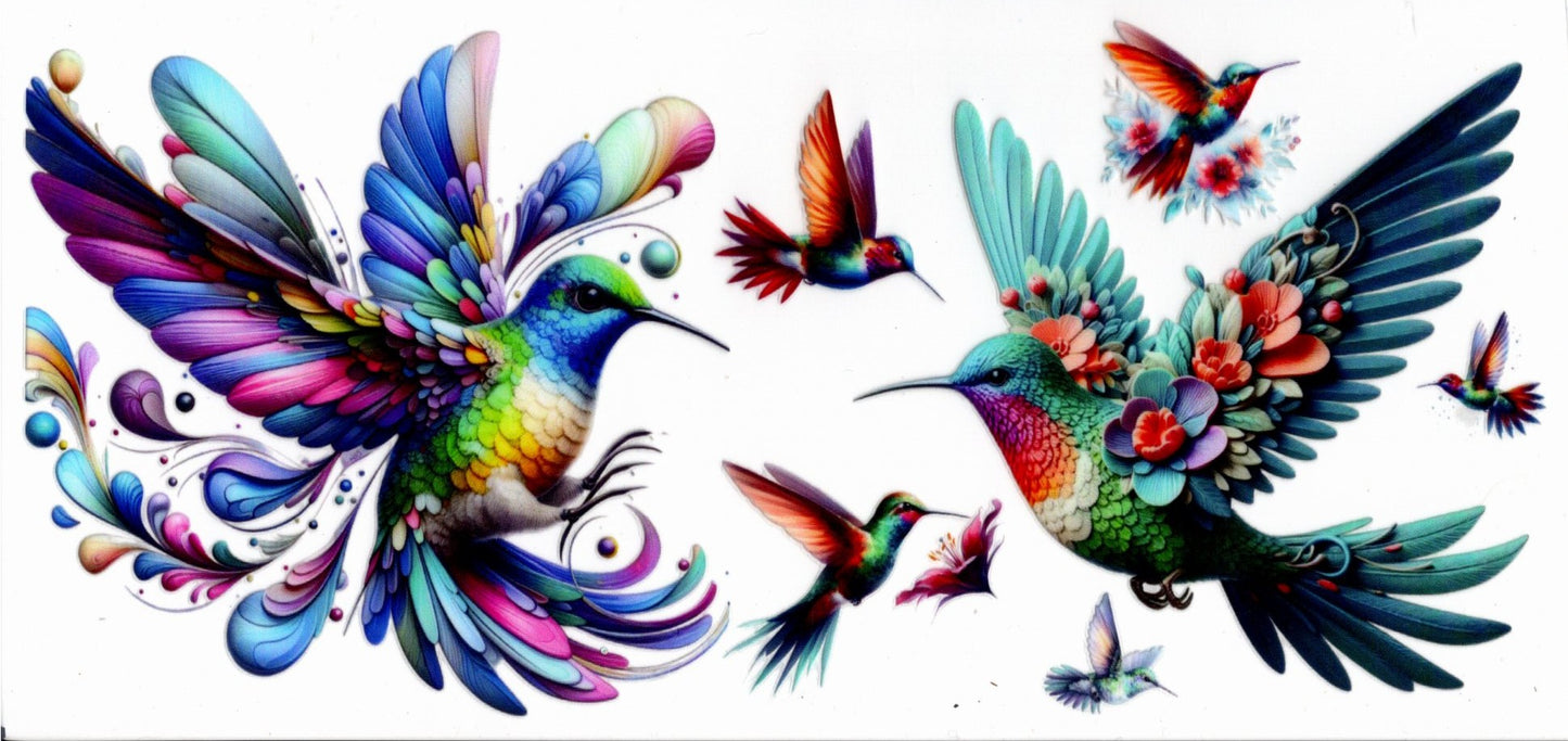 Colorful Hummingbird