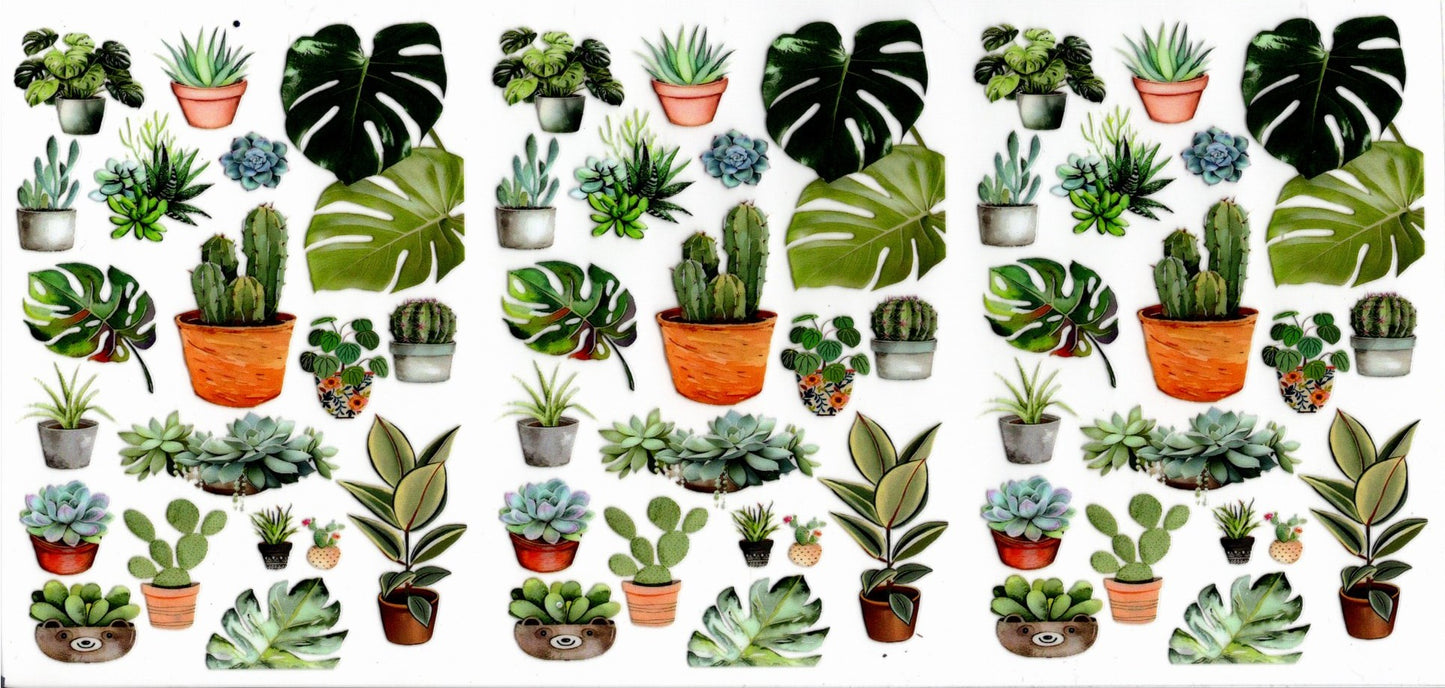 Plants