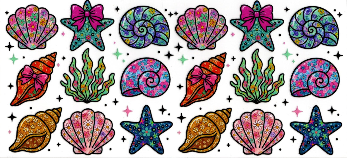 Bright Colored Seashells