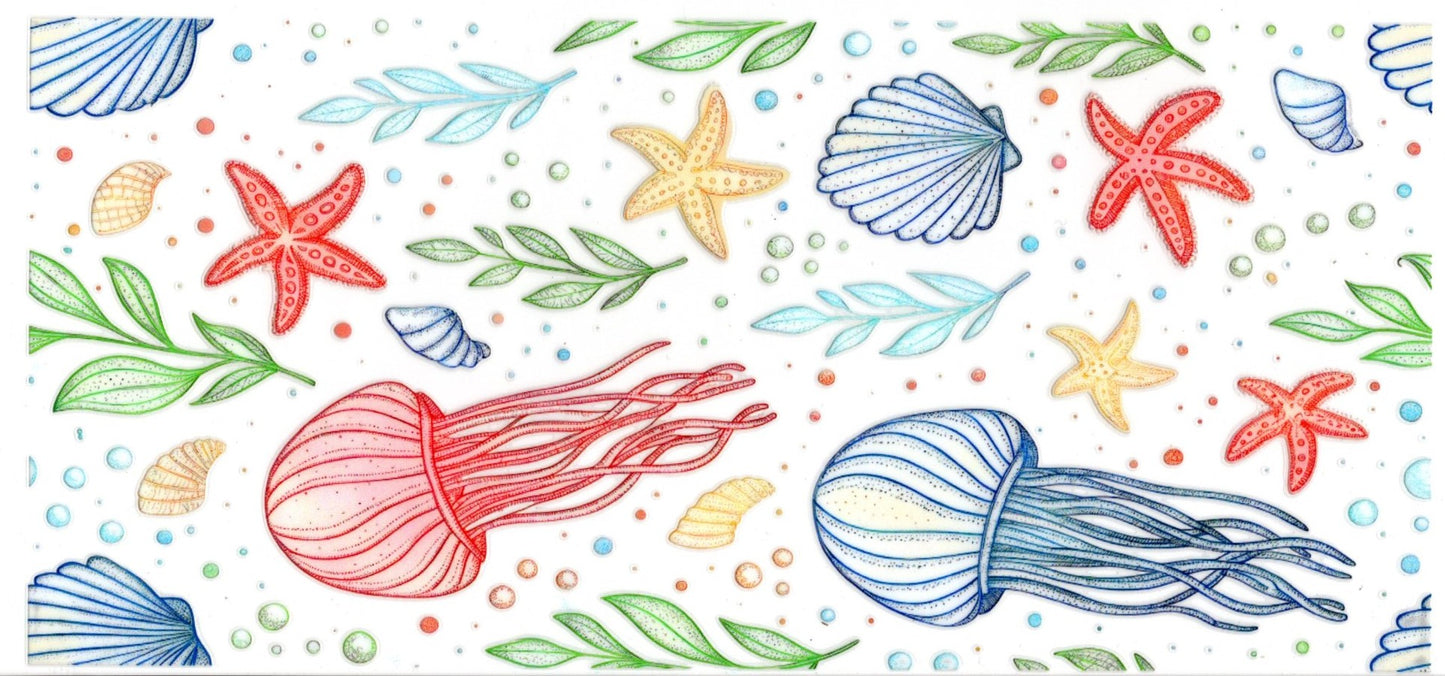 Jellyfish Starfish Shells