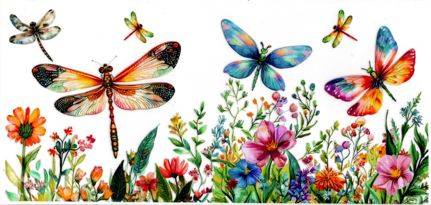 Dragonflies