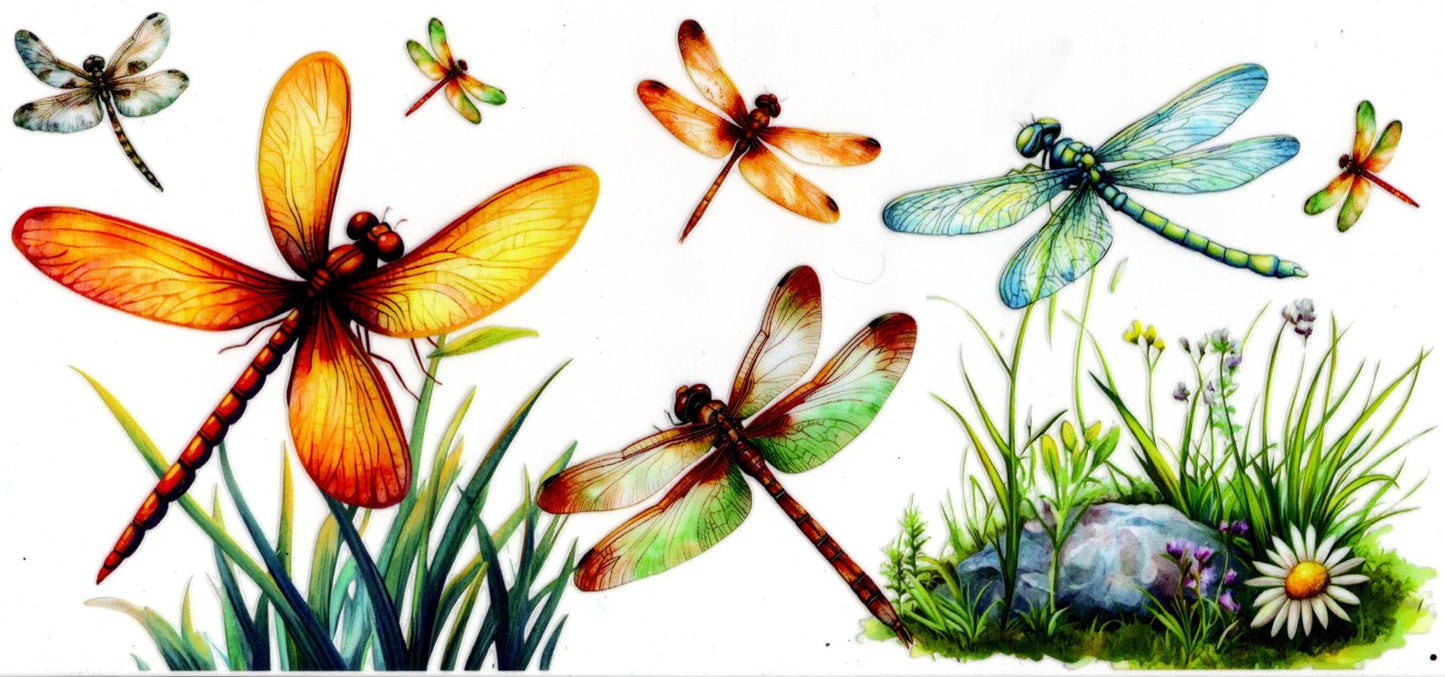 Dragonflies