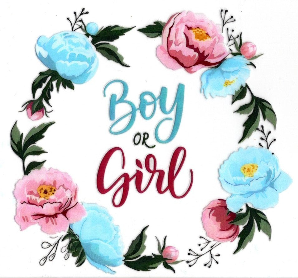 Gender Reveal Boy or Girl