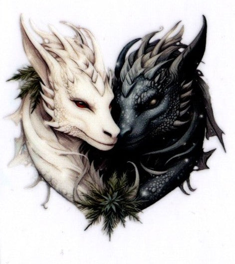 Black and White Dragons