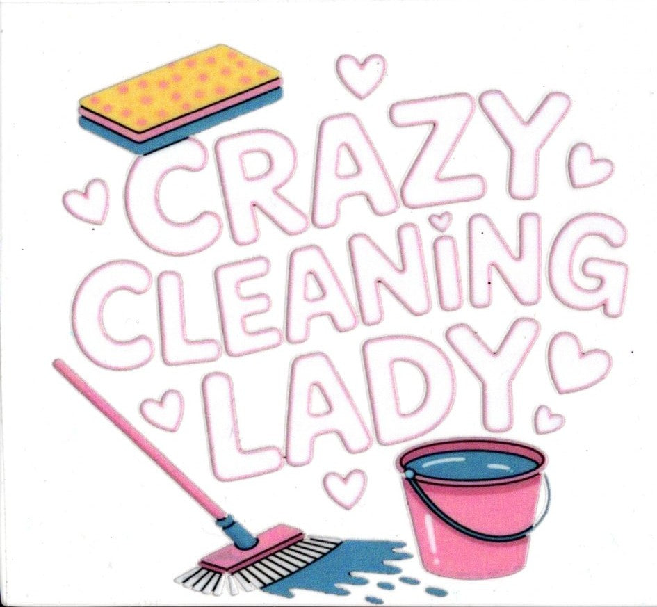 Crazy Cleaning Lady