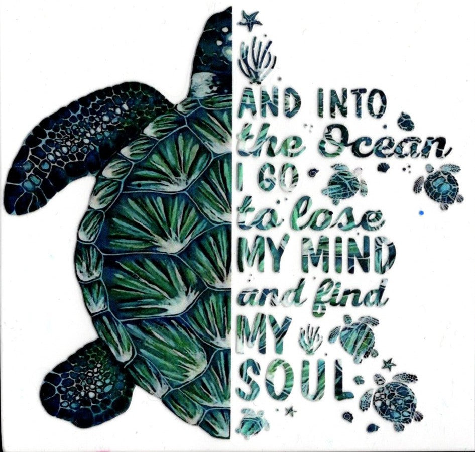 And Into The Ocean I Go...Turtle