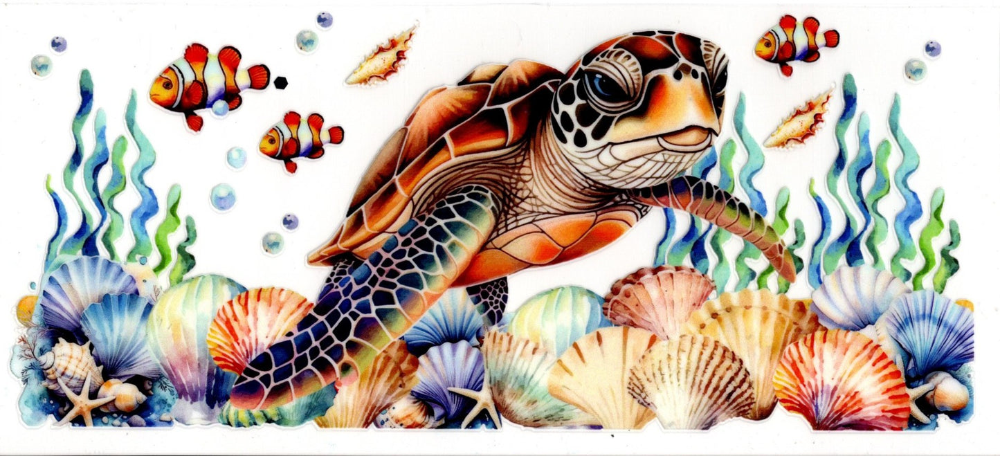 Turtle Fish Seashells
