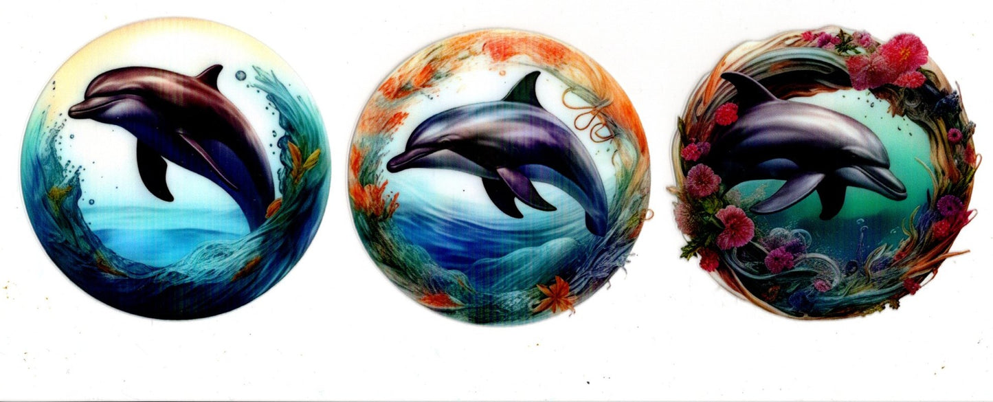 Dolphins