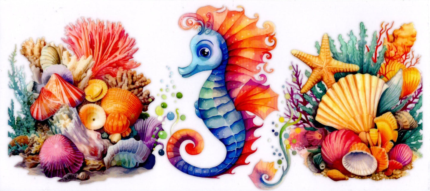 Seahorse Fish Coral