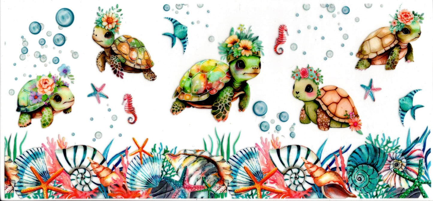 Turtles Shells Fish