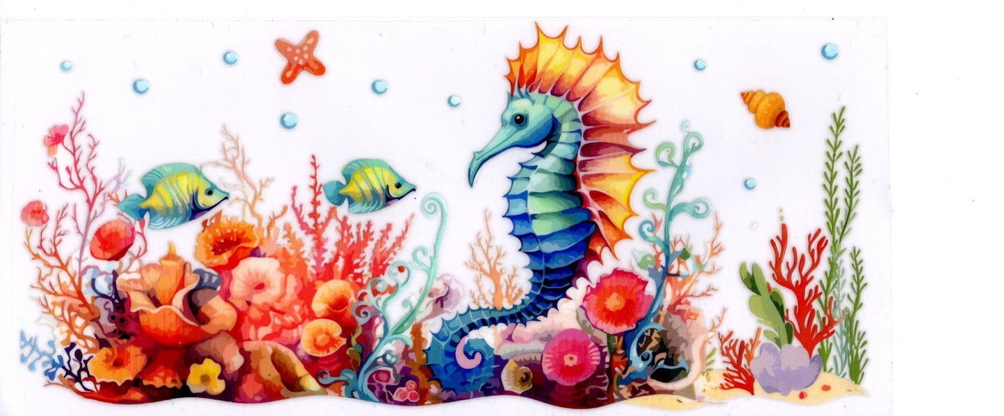 Seahorse Coral Fish