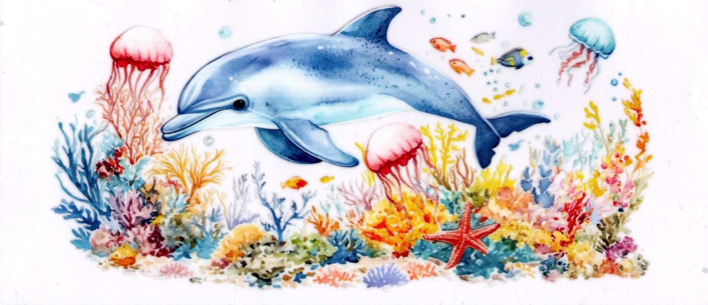 Dolphin