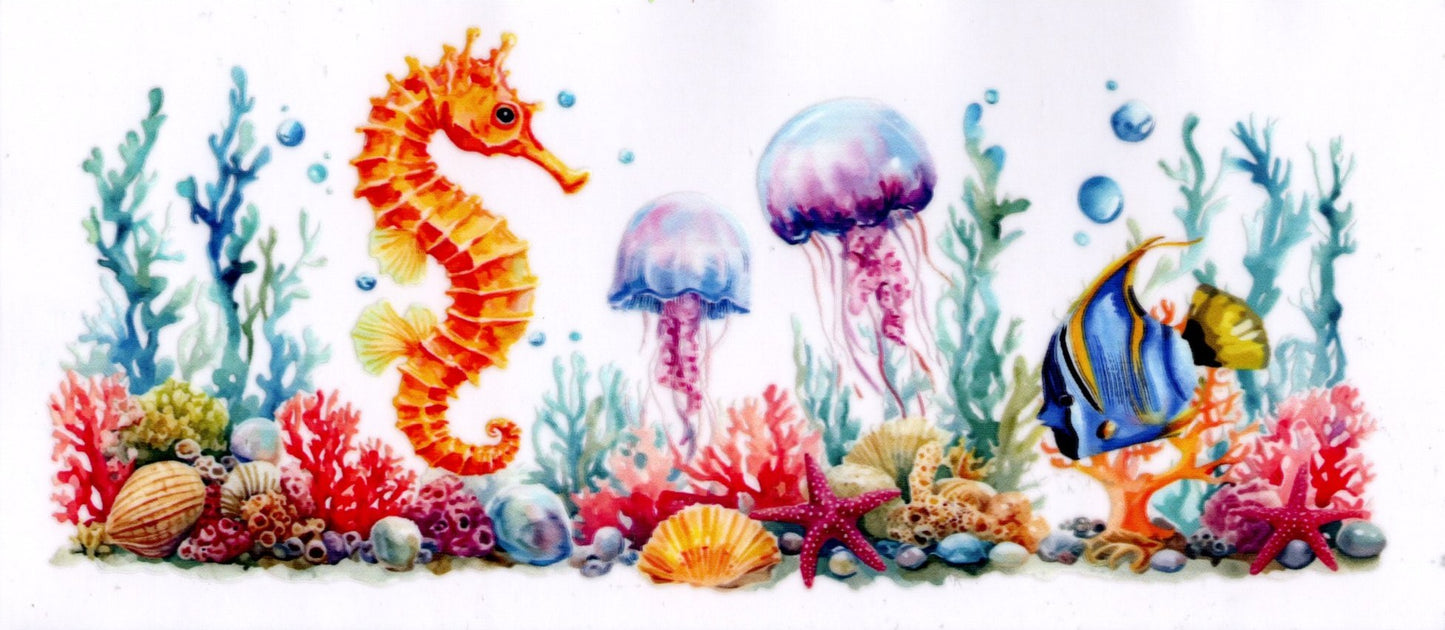 Seahorse Jellyfish Fish