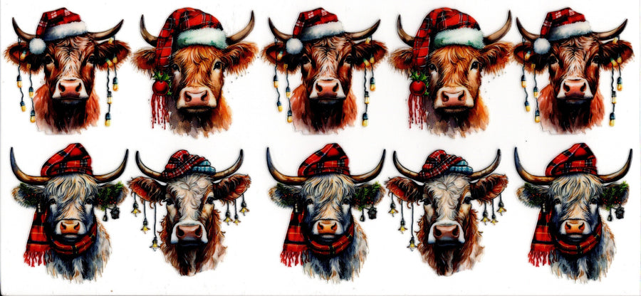 HIghland Cows Christmas Hats