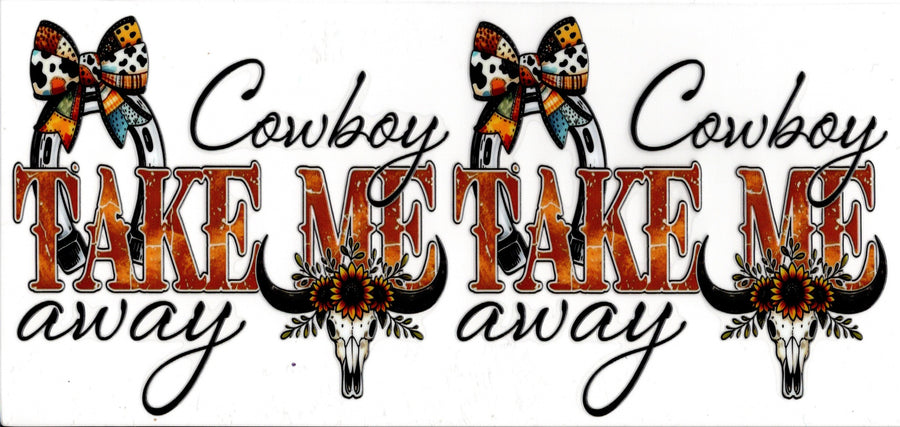 Cowboy Take Me Away
