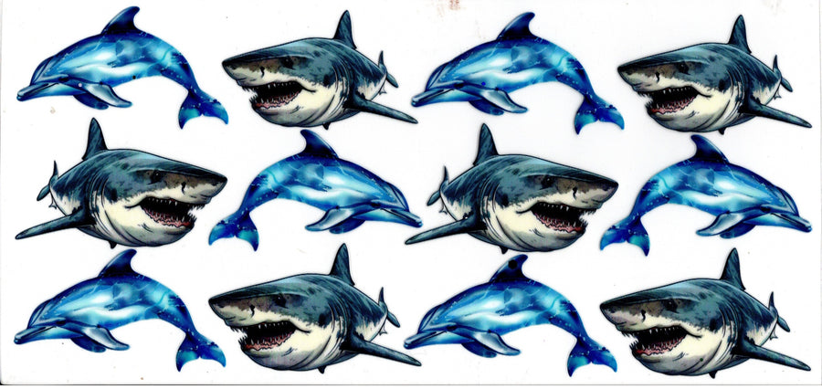 Sharks and Dolphins