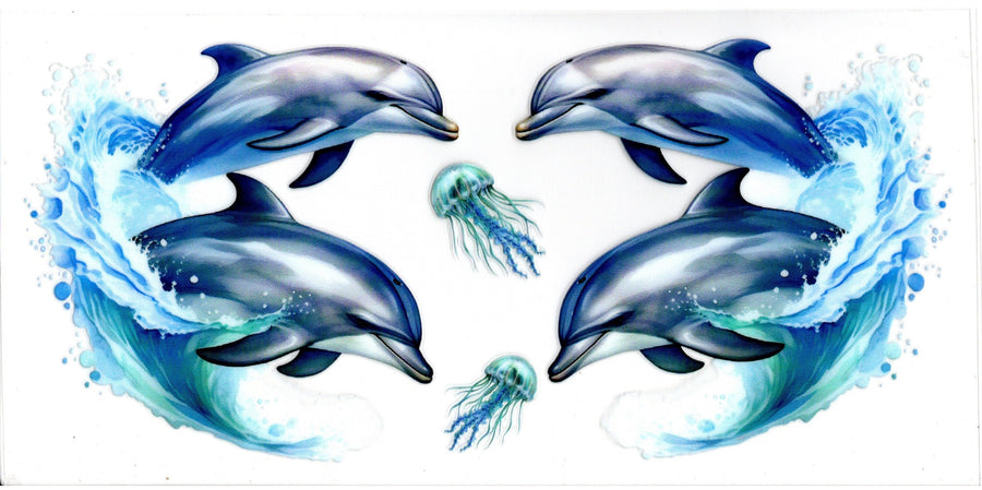 Dolphins and Jellyfish