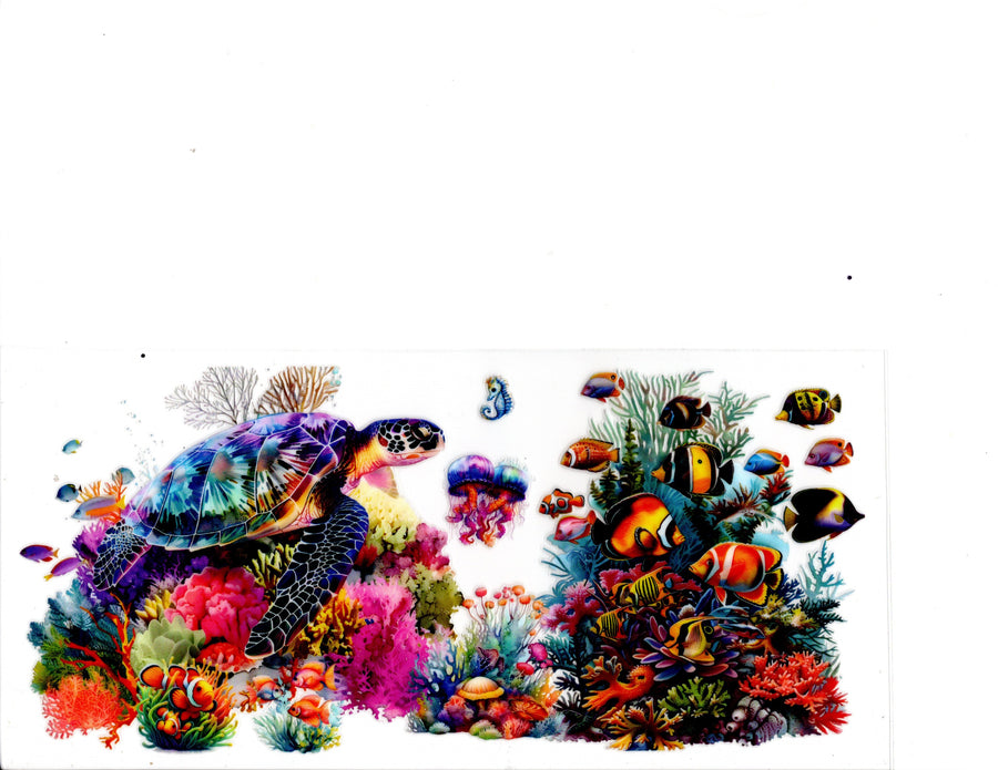 Turtle with Fish, Jellyfish and Coral