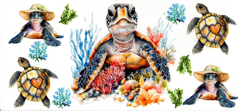 Turtle