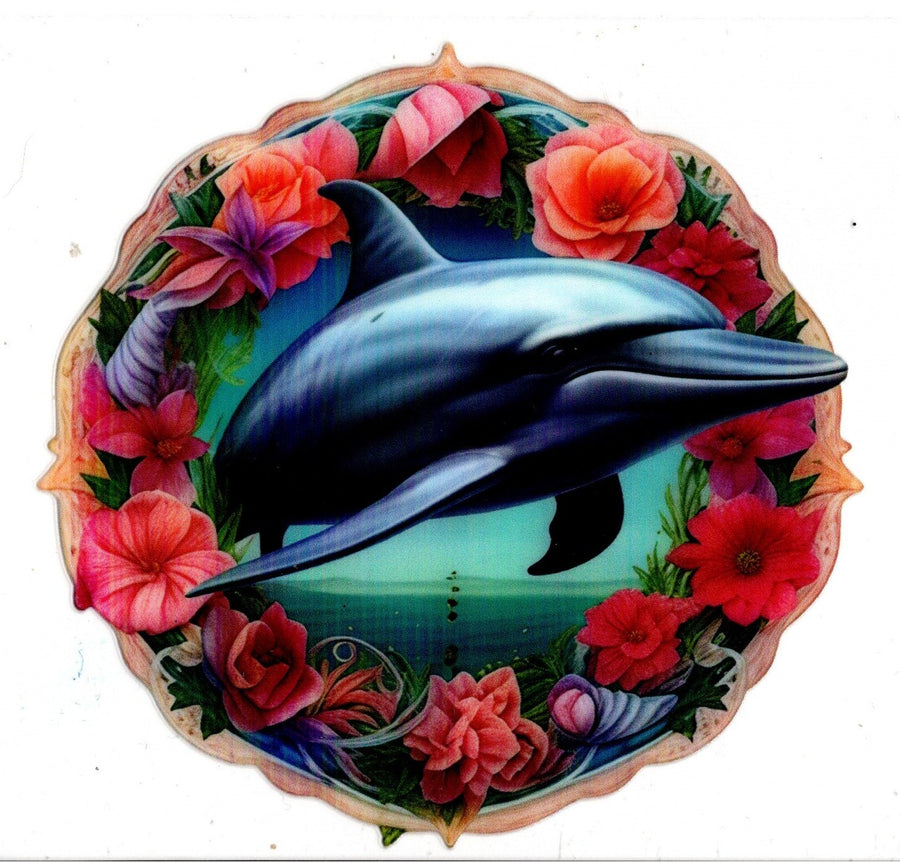 Dolphin