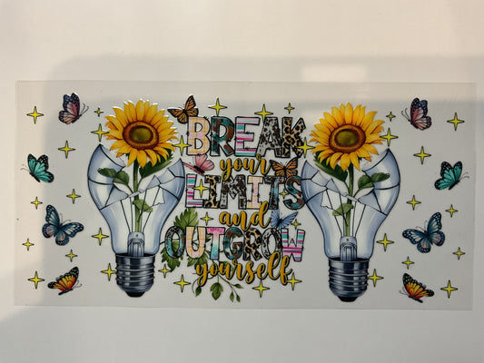 Break Your Limits… Sunflower Bulb Quotes