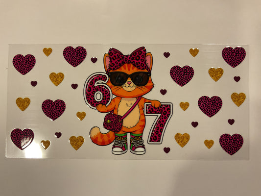 6-7 Cat