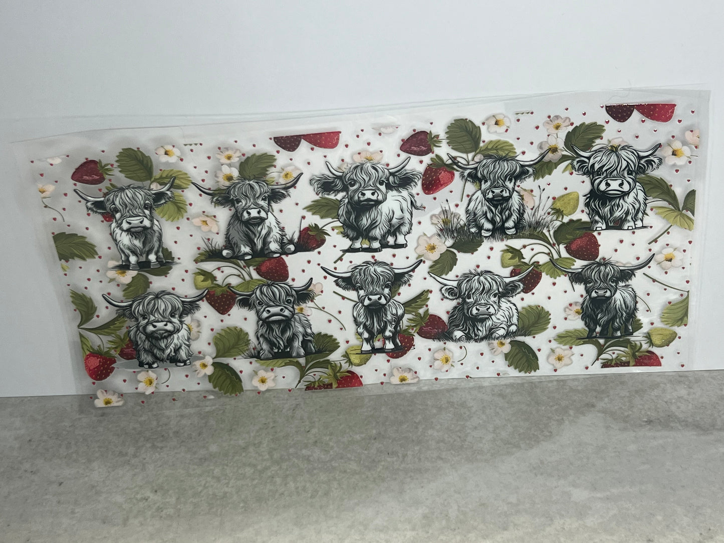 Highland Cows and Strawberries